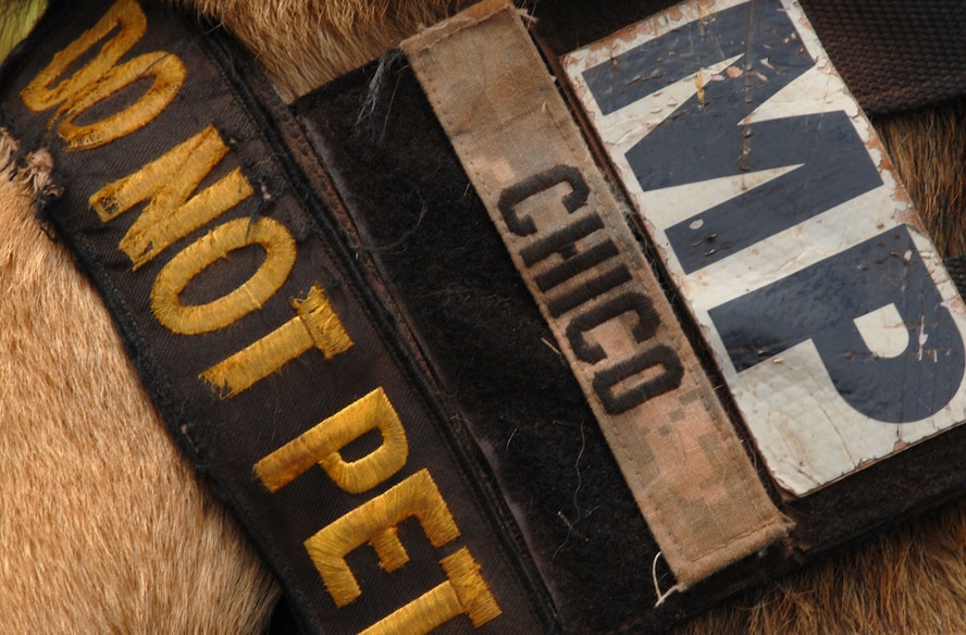 Thirty-nine handlers from the U.S. Army, Navy, Marine Corps, and Air Force, as well as the Honolulu Police Department, Japan, Alaska, Ft. Huachuca, and Ft. Leonard Wood attended the  2010 Hawaiian Islands Working Dog Competition at Schofield Barracks, Hawaii, Nov. 15 to 19. The competition served to both reward the dog teams for their hard work throughout the year and bring different services together.  (U.S. Air Force photo/Staff Sgt. Carolyn Viss)