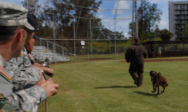 Audience members watch as "Jimmy," a Belgian Malinois assigned to the 647th Security Forces Squadron at Joint Base Pearl Harbor-Hickam, attacks a decoy during the 2010 Hawaiian Islands Working Dog Competition at Schofield Barracks, Hawaii, Nov. 19. "Jimmy" and his handler, U.S. Air Force Staff Sgt. Ricky Renfroe, won the handler protection/aggression and hardest-hitting dog competitions during the week-long event, which served to both reward the dog teams for their hard work throughout the year and bring different services together. (U.S. Air Force photo/Staff Sgt. Carolyn Viss) 

