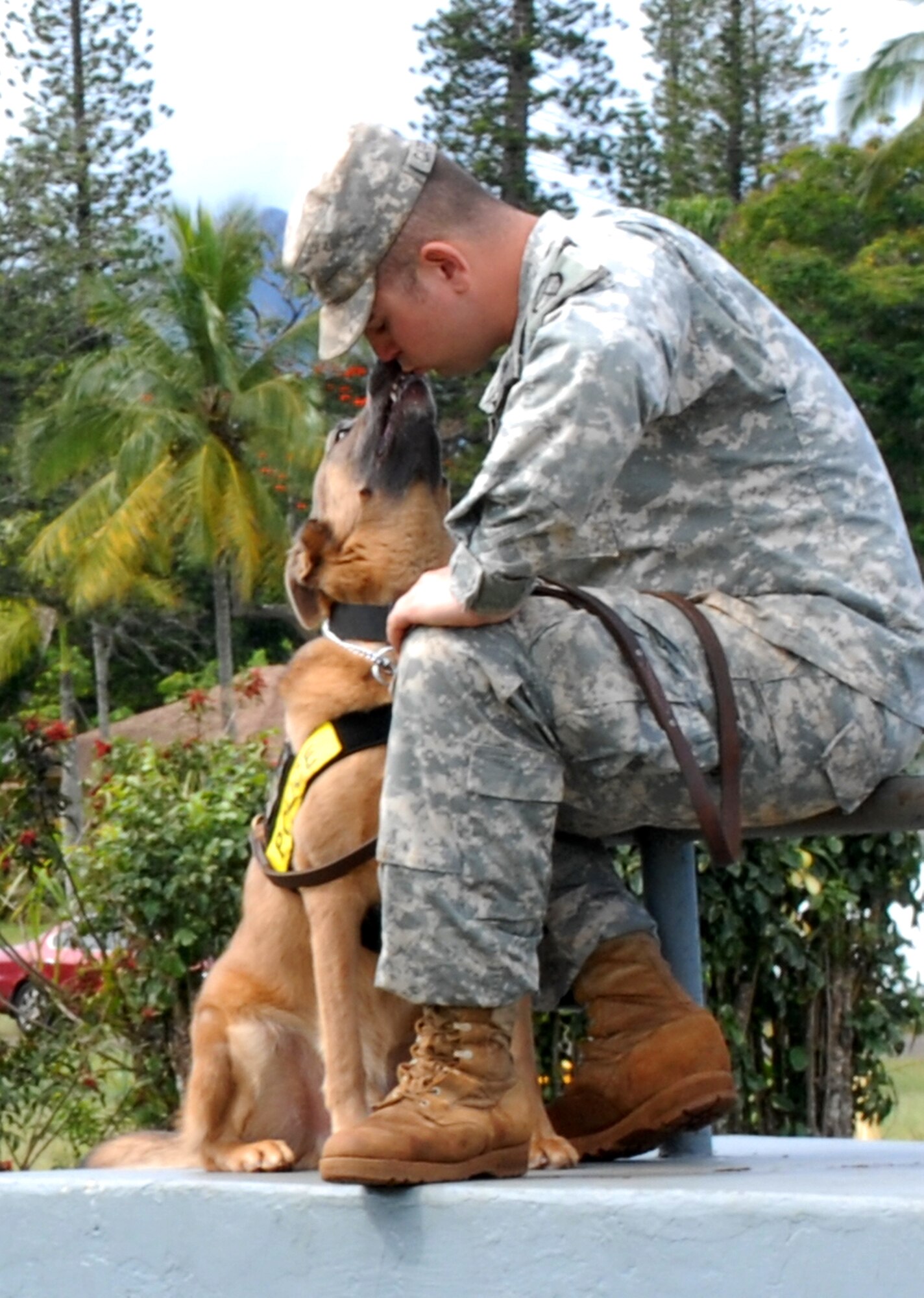 U.S. Army Sergeant Noah Carpenter and his military working dog "Bo" enjoy a quiet moment between events at the 2010 Hawaiian Islands Working Dog Competition at Schofield Barracks, Hawaii, Nov. 19.  Sergeant Carpenter and Bo are assigned to the 13th Military Police Detachment at Schofield. (U.S. Air Force photo/Staff Sgt. Carolyn Viss)
