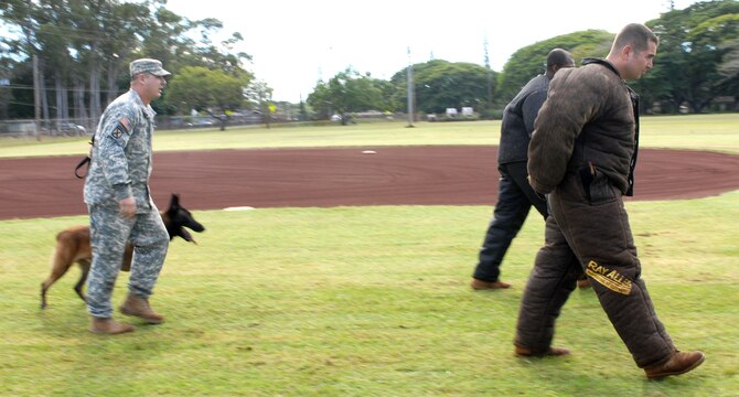U.S. Army Sergeant Noah Carpenter and his military working dog, "Bo," escort two decoys back to their K-9 vehicle during the 2010 Hawaiian Islands Working Dog Competition at Schofield Barracks, Hawaii, Nov. 19. Sergeant Carpenter and the dog are assigned to the 13th Military Police Detachment at Schofield. (U.S. Air Force photo/Staff Sgt. Carolyn Viss) 

