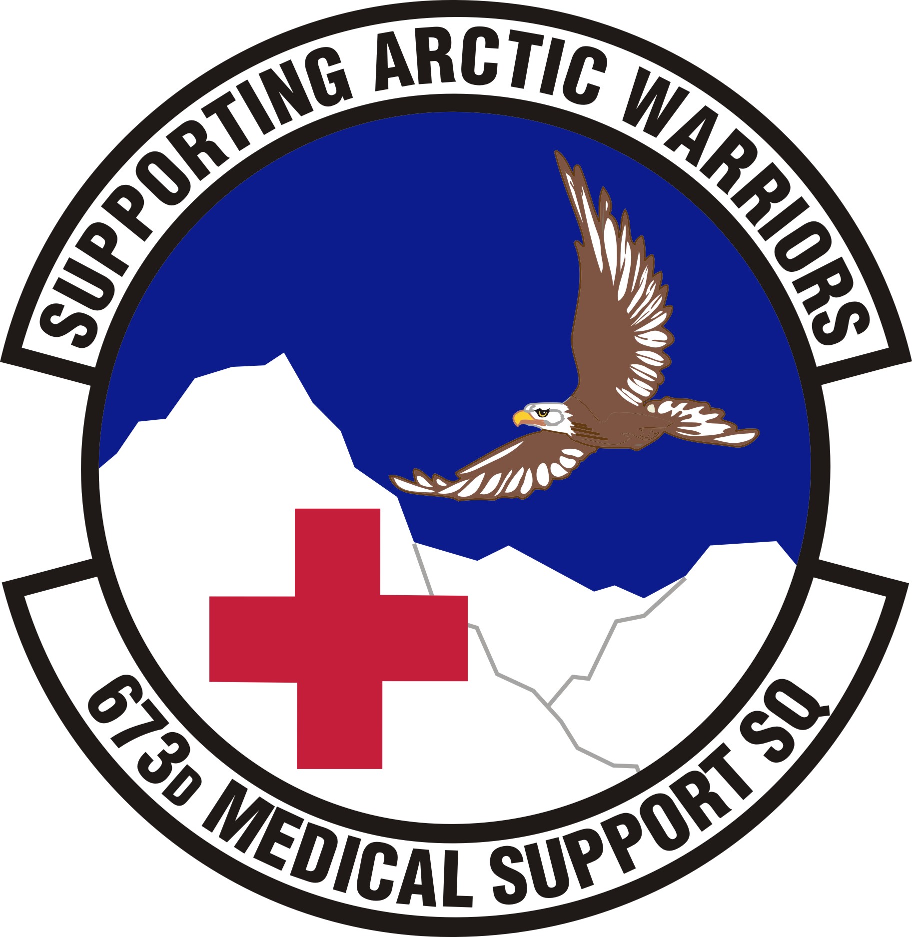 673 Medical Support Squadron (PACAF) > Air Force Historical