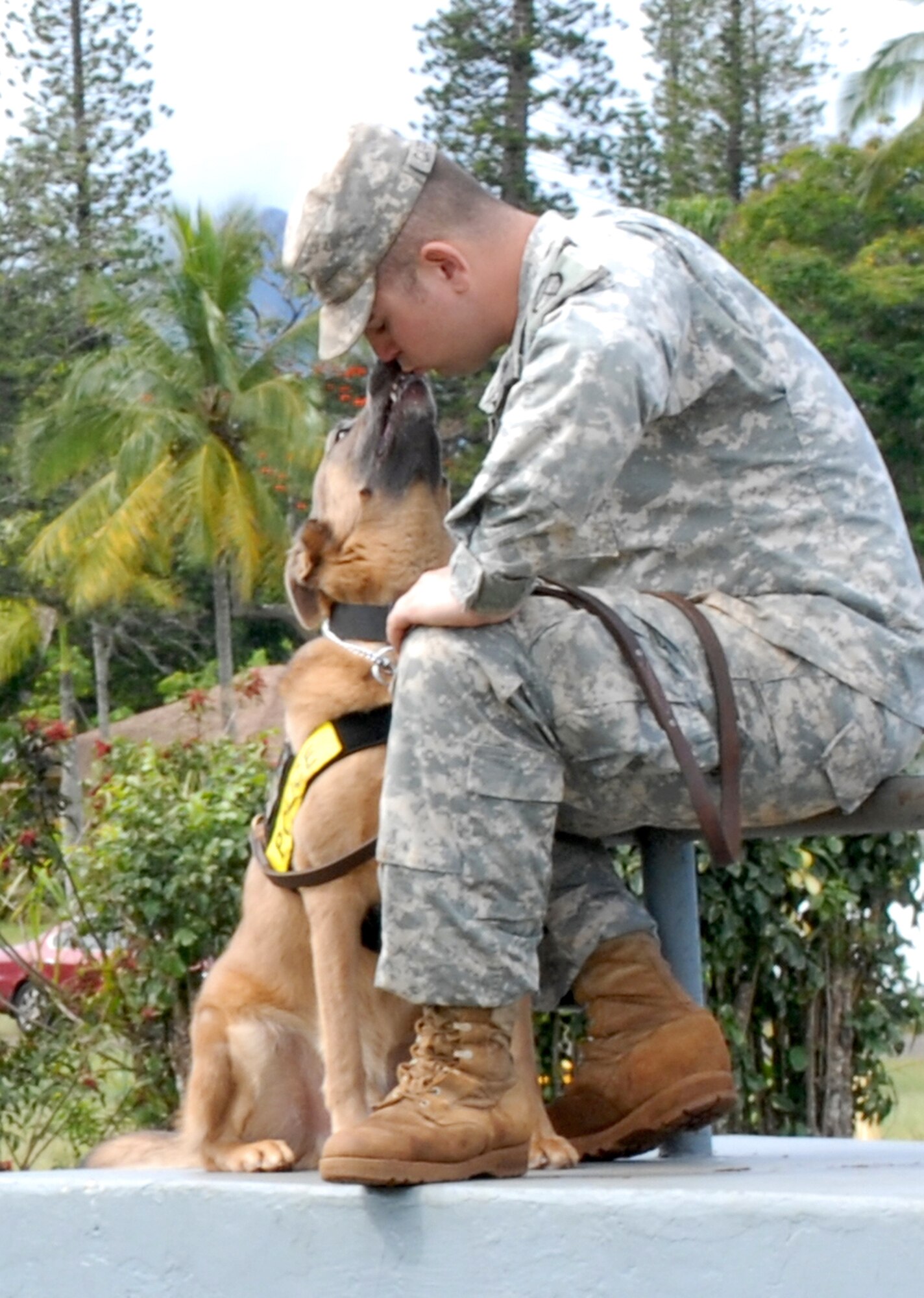 Army Sergeant Noah Carpenter and his military working dog Bo enjoy a quiet moment between events of the 2010 Hawaiian Islands Working Dog Competition Nov. 19, 2010, at Schofield Barracks, Hawaii. Sergeant Carpenter and Bo are assigned to the 13th Military Police Detachment at Schofield Barracks. (U.S. Air Force photo/Staff Sgt. Carolyn Viss)