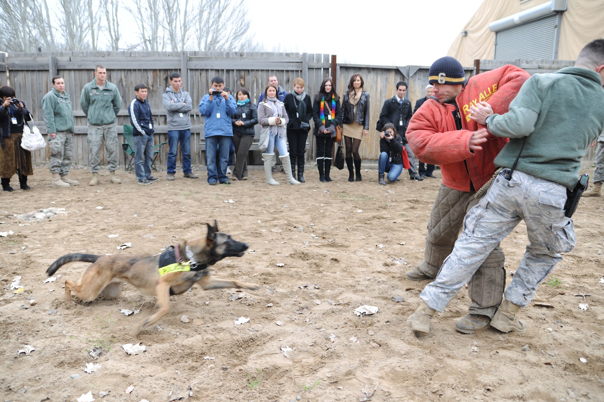 TRANSIT CENTER AT MANAS, Kyrgyzstan - Mr. Joe Villalobos, 376th Expeditionary Security Forces Squadron military working dog trainer, pretends to be a violent offender against security forces military working dog team. Judi strikes to rescue her handler, Staff Sgt. Scott Reynolds, during a K-9 demonstration for university students during a tour of the Transit Center at Manas Nov. 25.  Four local universities participated in a tour and a traditional holiday lunch with the troops in celebration of Thanksgiving Day.  (U.S. Air Force photo/Staff Sgt. Nathan Bevier)