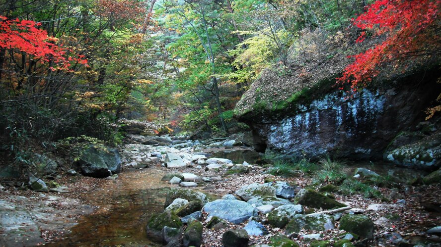 Small stream and fall foilage in Songnisan National Park, Republic of Korea. (U.S. Air Force photo/Staff Sgt. Eric Burks)