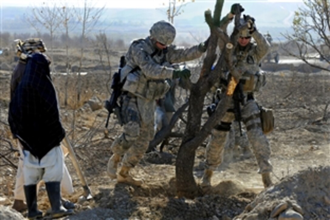 U.S. Army Staff Sgt. Sean Quigley, left, and Spc. Jonathan Reed help some villagers remove a tree during a canal site survey near Highway 1, Zabul Province, Afghanistan, Nov. 27, 2010. Quigley and Reed are assigned to Provincial Reconstruction Team Zabul's security Force.