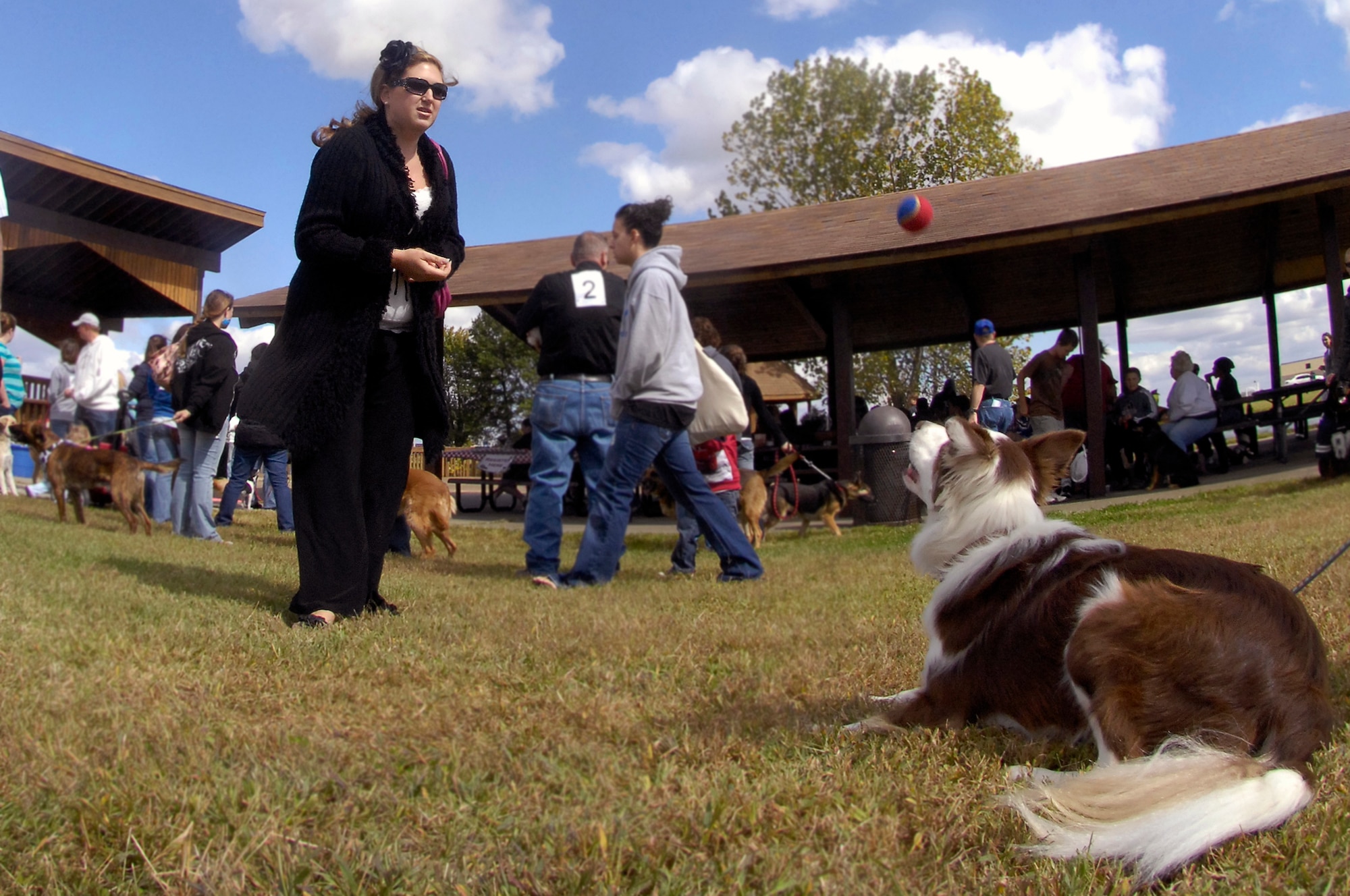 WHITEMAN AIR FORCE BASE, Mo. - Barron, a border collie, plays fetch with his owner, Tish Evans, during the 2010 Whiteman Bark in the Park. The annual event was hosted by the Whiteman Community Activities Center and Vet Clinic and is part of the Air Force Global Strike Command values for Airmen moral and welfare. (U.S. Air Force photo/Senior Airman Jason Barebo)