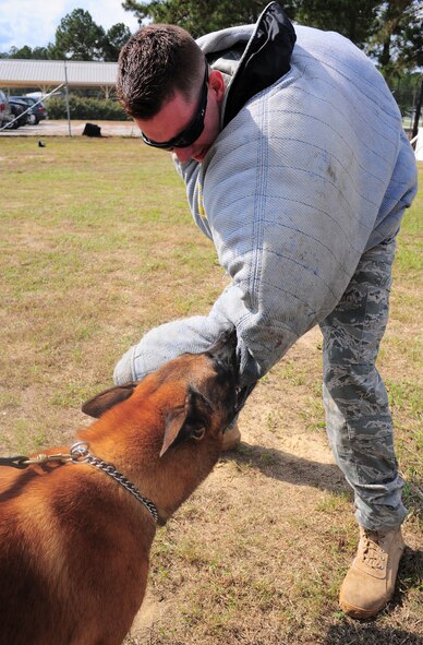 101004-F-8454M-096  SHAW AIR FORCE BASE S.C? Military working dog, Zorba, subdues Staff Sgt. Erick Lee, 20th Security Forces Squadron dog handler, during a training session, Oct. 4, 2010. Military working dogs are trained to handle many situations such as detecting contraband and subduing suspects. (U.S. Air Force Photo/Senior Airman David Minor)