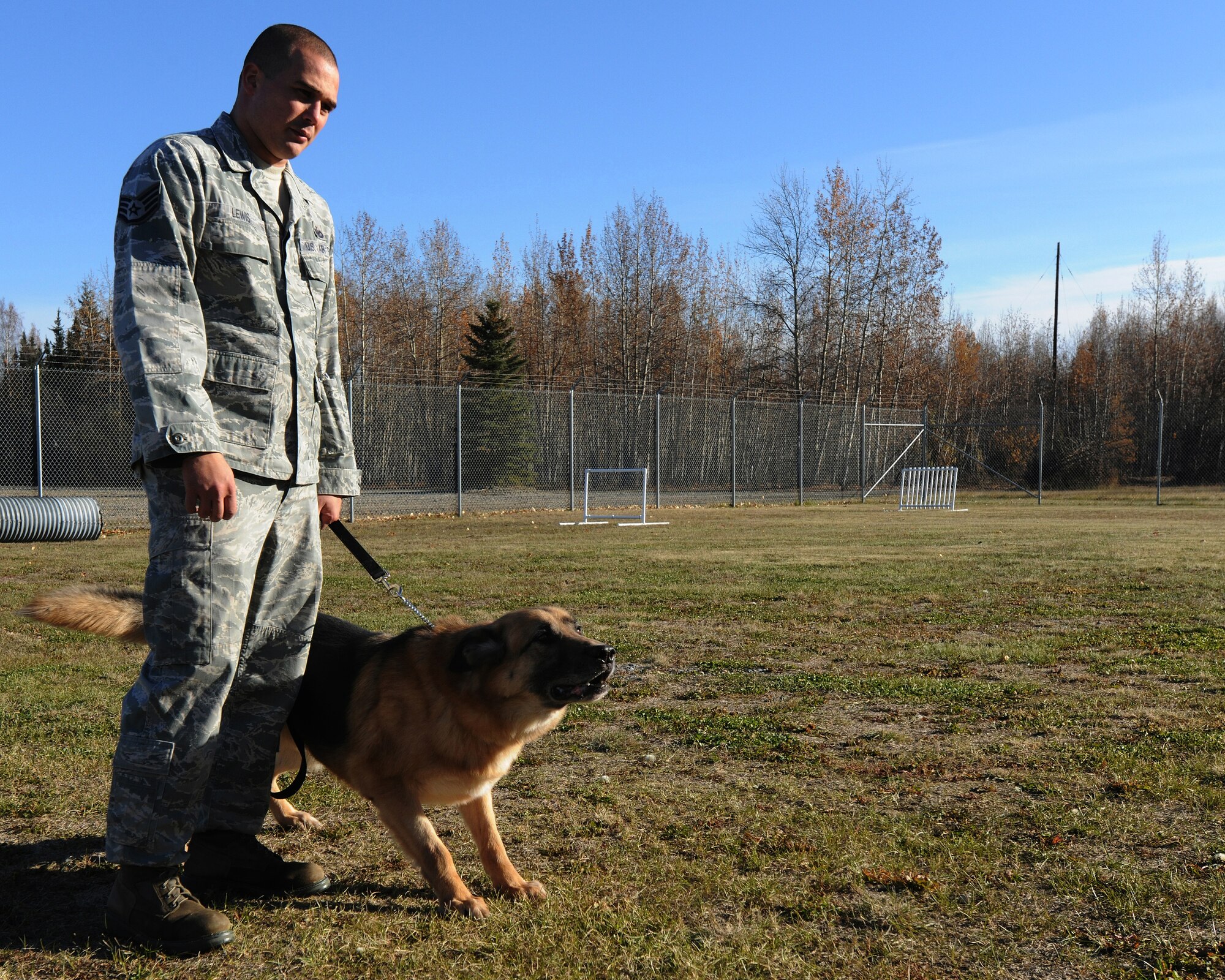 Staff Sgt. Joshua Lewis and his military working dog stand at the ready Sept. 28, 2010, Eielson Air Force Base, Alaska. The MWD was practicing exercises while the handler was getting to know the dog. The dogs require refresher training to maintain their quick responsiveness and listening skills. (Courtesy photo/Jeremy Wussow)