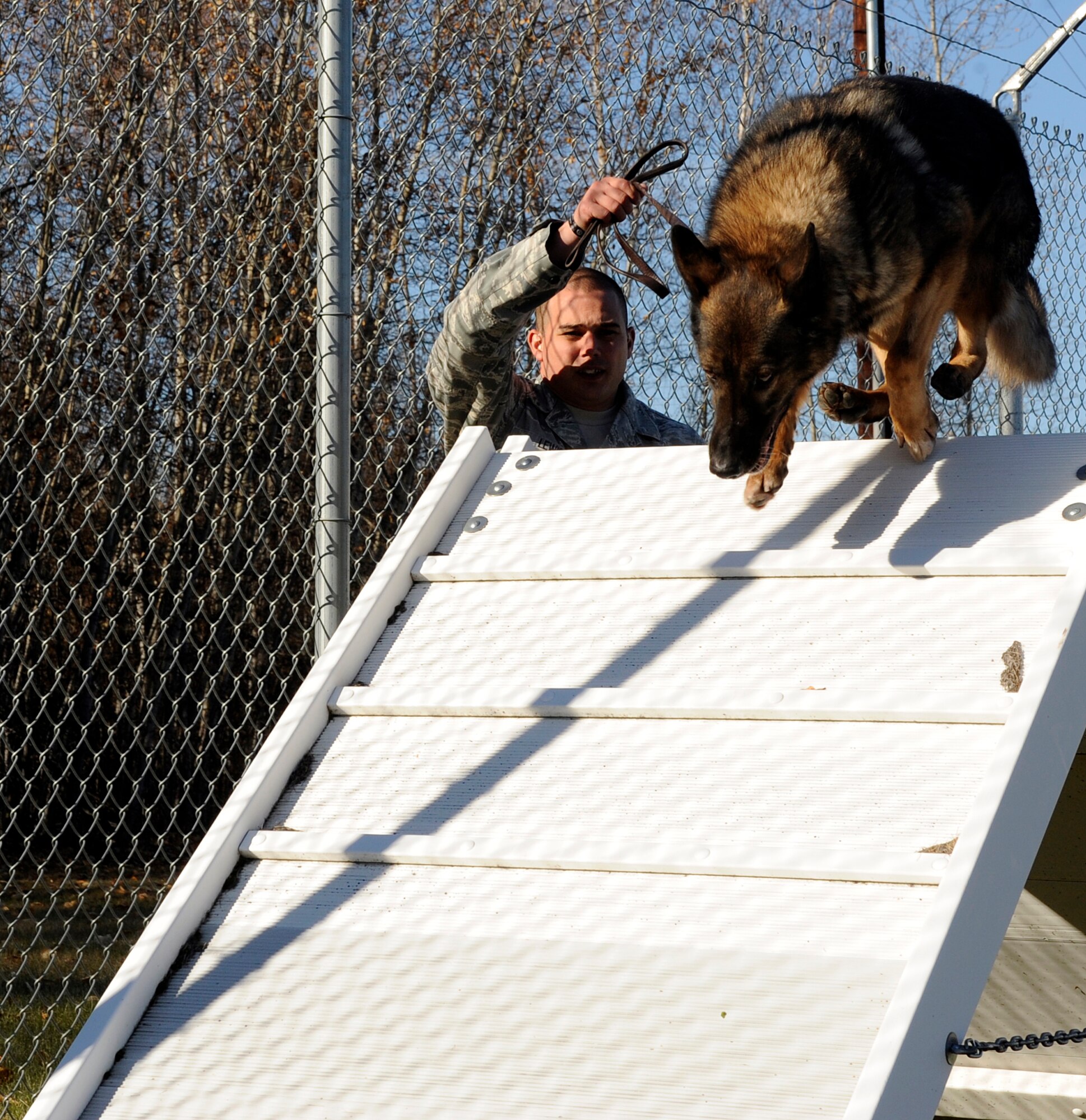 Staff Sgt. Joshua Lewis runs a military working dog through exercise Sept. 28, 2010, Eielson Air Force Base, Alaska. The MWD was practicing obedience and responsiveness. The dogs and handlers require refresher training to maintain their bond with each other. (Courtesy photo/Chelsea Law)