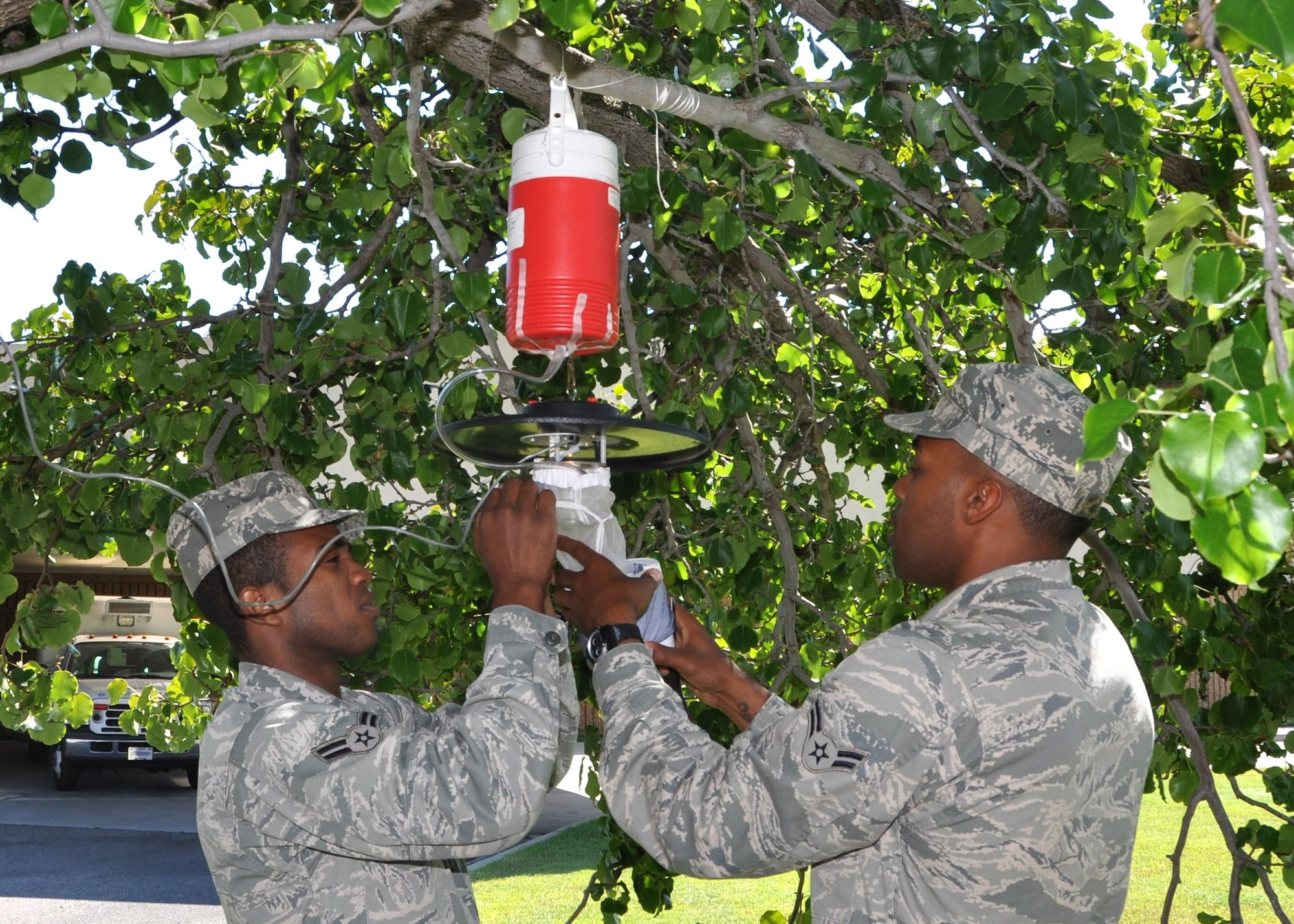 Public health technicians Airmen 1st Class Mark Landry, left, and Terrance Hill from public health’s entomology element complete assembly of a mosquito trap in a tree
behind the 81st Medical Group Hospital Sept. 28. The red canister contains dry ice. Mosquitoes are attracted to the carbon dioxide in the dry ice. Once the insects land on
the top of the net, a fan sucks them into it and traps them. Traps are placed in shaded areas around the base including housing areas. The traps are left out overnight and
specimens collected in the morning. The mosquitoes are sent to a laboratory at Wright-Patterson Air Force Base, Ohio, to determine what type they are and if they can
carry diseases, such as West Nile virus.  (U.S. Air Force photo by Steve Pivnick)