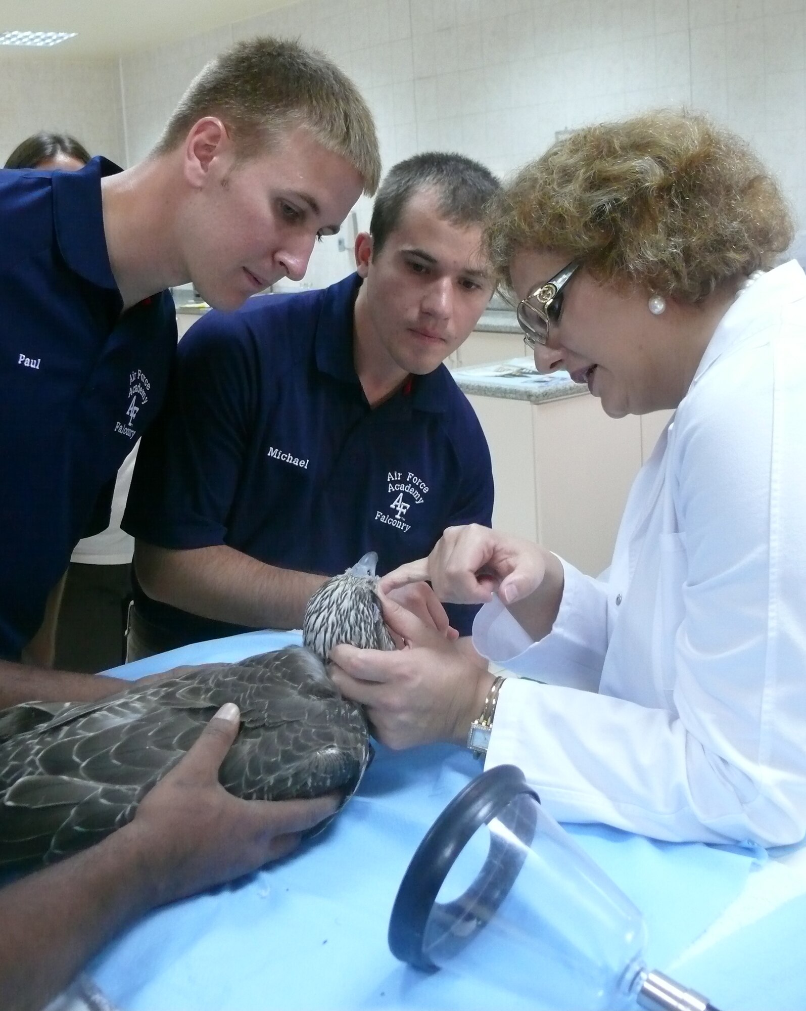 From right: Dr. Margit Muller shows Cadet 2nd Class Michael O'Kelley and Cadet 3rd Class Paul McArthur a falcon undergoing a surgical procedure at a falcon hospital in the United Arab Emirates Sept. 23, 2010. Cadets with the Falconry Club visited the UAE to learn about differences between Air Force Academy and Middle Eastern falconry. (U.S. Air Force photo)