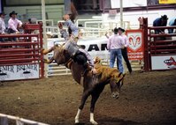 MINOT, N.D. -- Cleve Schmidt of Belle Fourche, S.D., attempted to compete in the bareback bronc competition with a broken arm and found out the hard way how unforgiving wild horses can truly be during the 2010 Y’s Men’s Rodeo here Oct. 8. The 56th annual Y’s Men’s Rodeo was held at the North Dakota State Fairgrounds Oct. 7 to 10 with all proceeds from the rodeo benefiting the YMCA’s Triangle Y Camp located near Garrison, N.D. (U.S. Air Force photo by Staff Sgt. Keith Ballard)