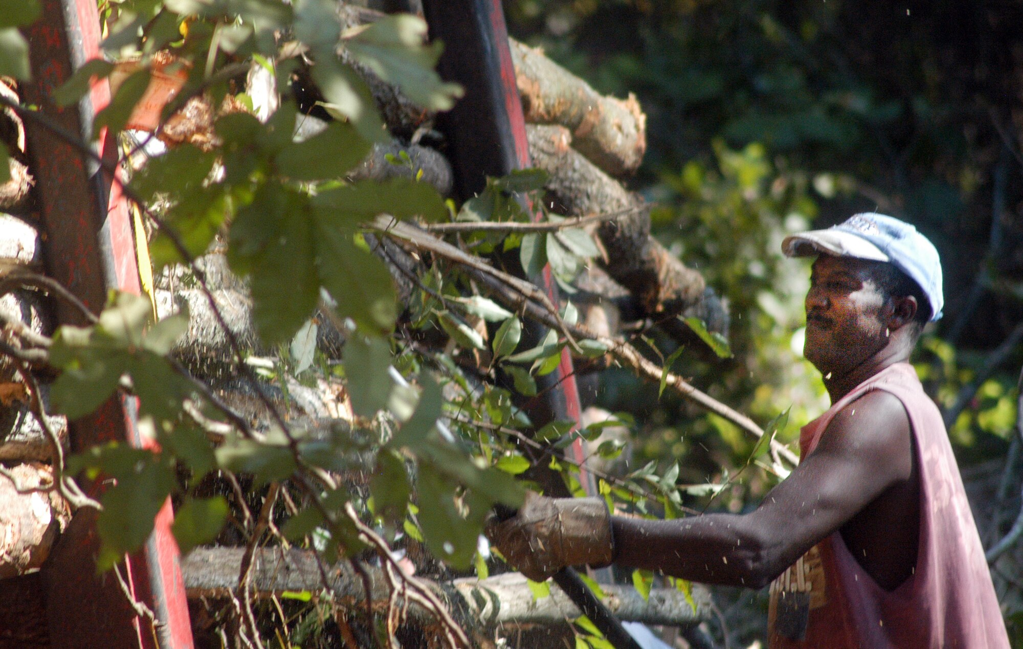 Tony Love, Oconee River Logging employee, trims branches from a load of logs. U. S. Air Force photo by Sue Sapp