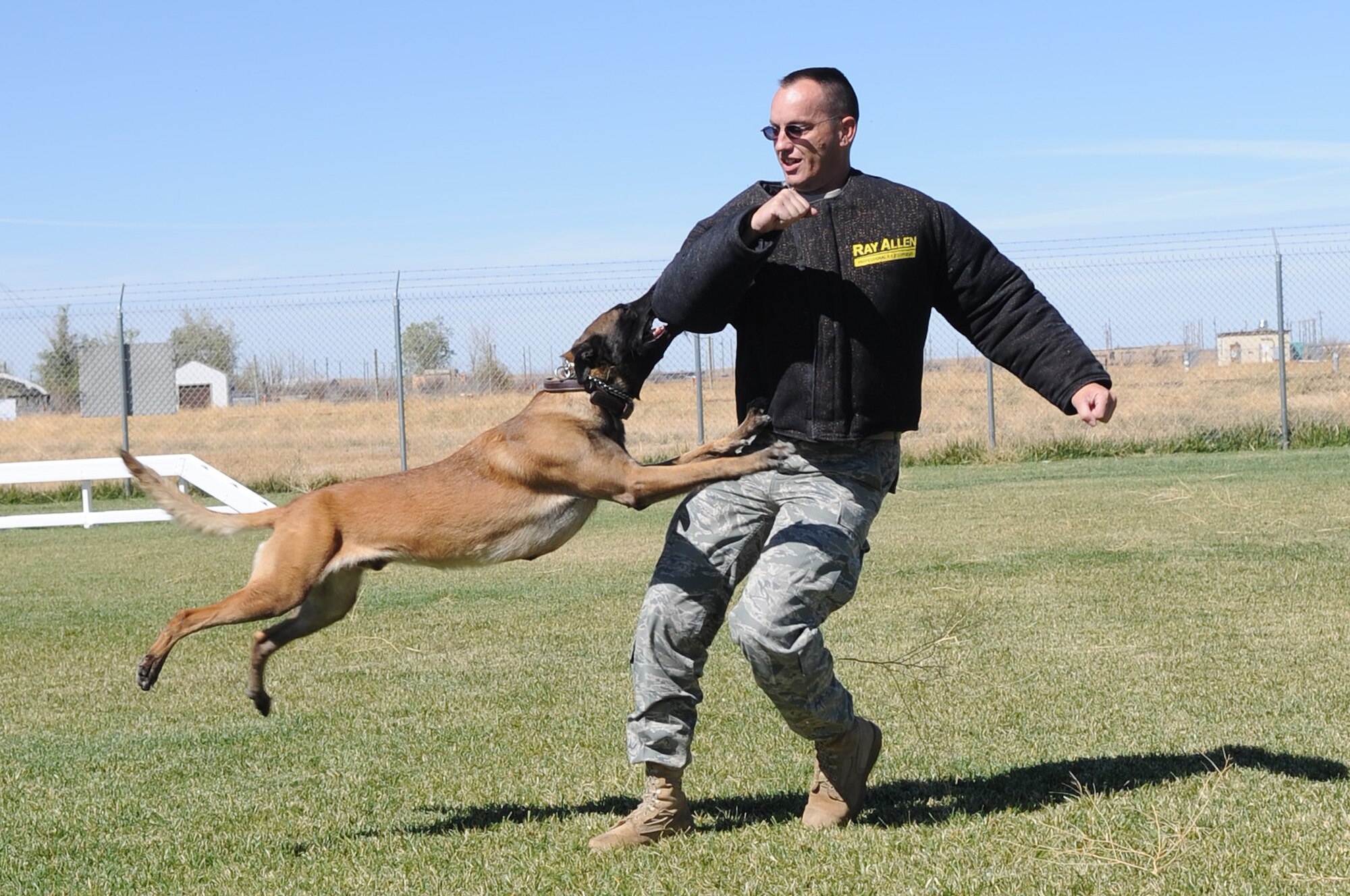 MOUNTAIN HOME AIR FORCE BASE, Idaho -- Tech Sgt William Gaulke, 366th Security Forces Squadron defender, catches Military Working Dog Vvictor, 366th Security Forces Squadron, during training at the K-9 kennels Sep 21. Security forces provide integrated defense and law enforcement for the base and develop highly trained Airmen to support deployed contingency operations. (U.S. Air Force photo by Senior Airman Roy Lynch)