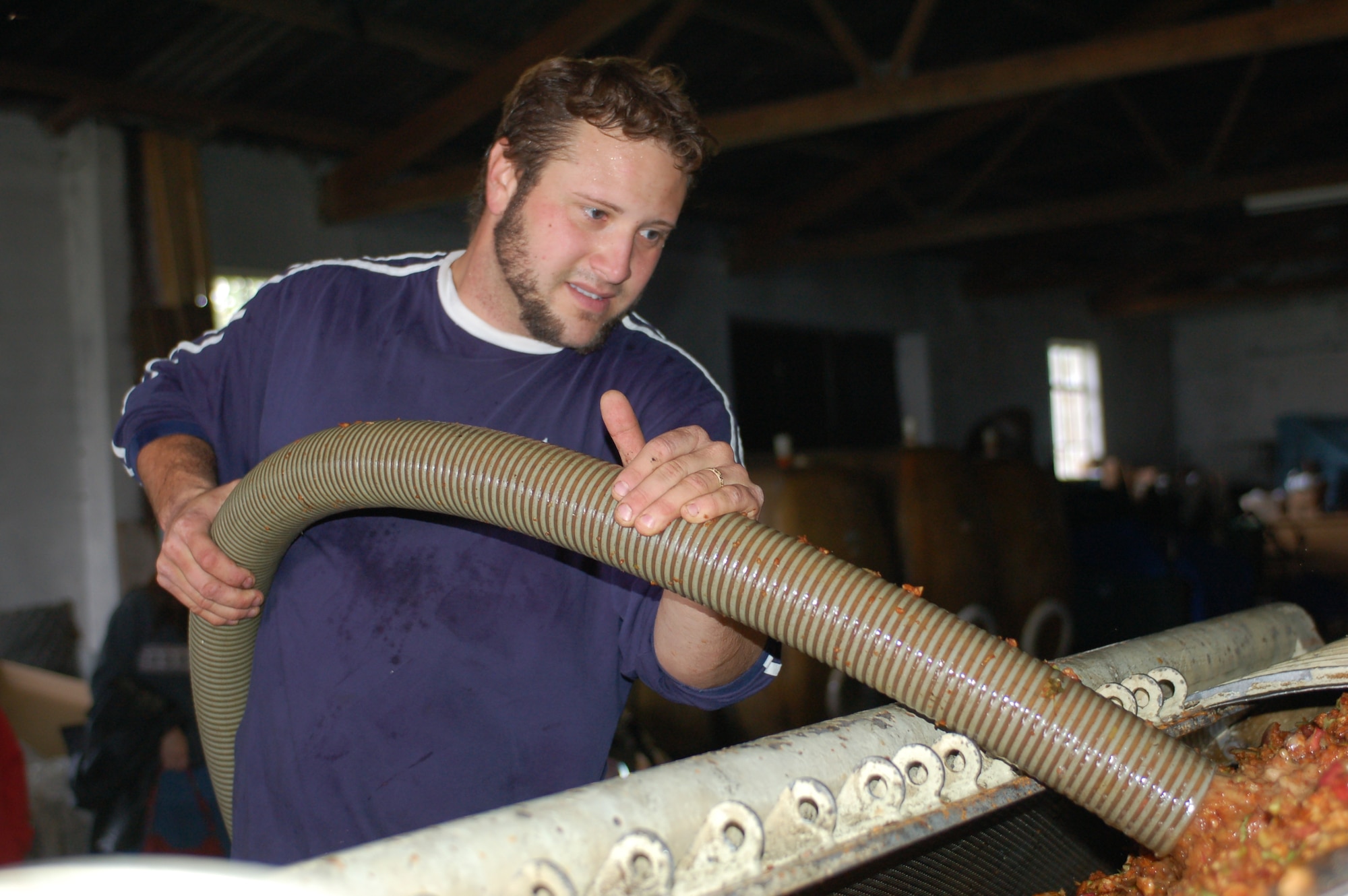 OSANN-MONZEL, Germany--The vintner, Vito Cipolla, uses a large hose to transfer apple mash from a trailer into a press. The kids helped with the cider process – they shoveled all the apples and put them in buckets. The apples went into a mill and afterward into the press,” he said. The outcome was a sweet and delicious apple cider which the children and their parents were able to taste afterwards, said the vintner. (U.S. Air Force photo/Iris Reiff)