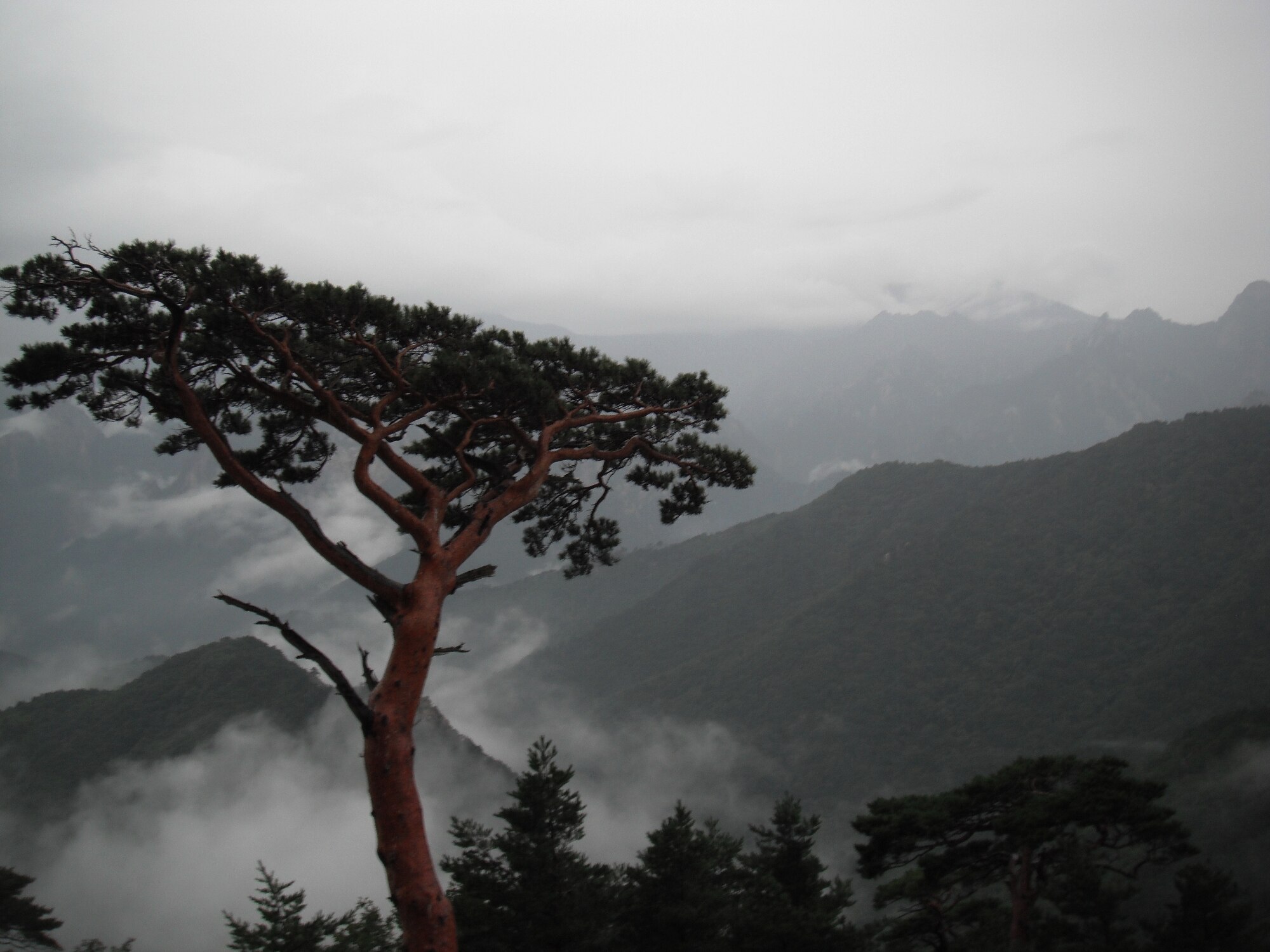 View from Ulsanbawi stairs in Seoraksan National Park, Republic of Korea. (U.S. Air Force photo/Staff Sgt. Eric Burks)