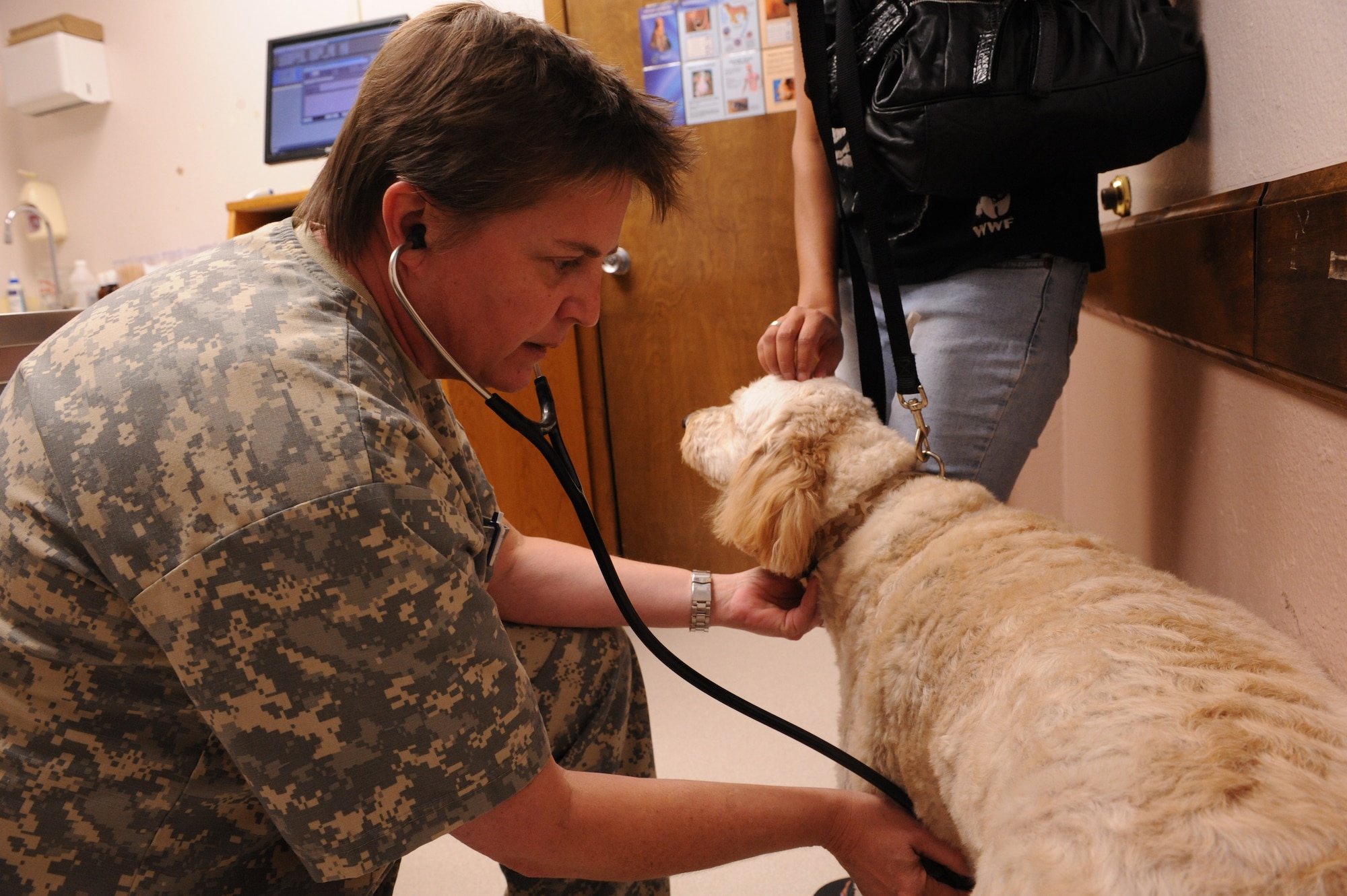 DYESS AIR FORCE BASE, Texas—Dr. Denise Ruark, Dyess Veterinarian, listens to Da Vinci’s heart Oct. 20 during a routine appointment at the Dyess Veterinary Clinic here. The Clinic provides pet services such as: immunizations, treatments for skin disorders and eye and ear infections, micro-chipping, health certificates, and spay and neuter services. Heartworm prevention medication, flea and tick medication, vitamins, dental kits and shampoos are available for purchase at the resale counter. Base housing residents are required to register their pets with the clinic. Hours of operation are Monday-Thursday from 9 a.m-4 p.m, and Fridays from 9 a.m-2 p.m. For more information, call the clinic at (325) 696-3367. (U.S Air Force photo/ Airman 1st Class Shannon Hall) 