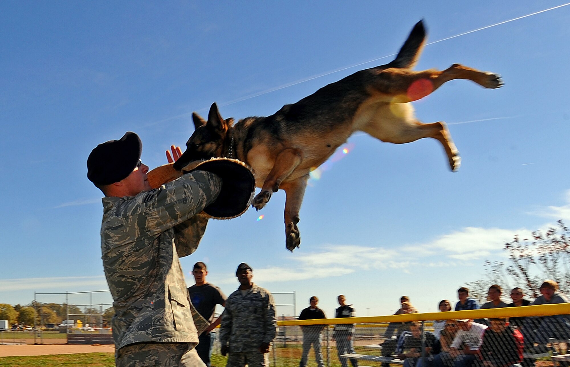 OFFUTT AIR FORCE BASE, Neb. - Senior Airman Steve Hanks, a military working dog handler with the 55th Security Forces Squadron, hoists working dog Ada up in the air after she clamped down on the bite sleeve as part of a demonstration at the youth baseball fields here Oct. 20.  The demonstration was part of a base wide tour for high school and college students ready to enlist in the Air Force.
U.S. Air Force photo by Josh Plueger
