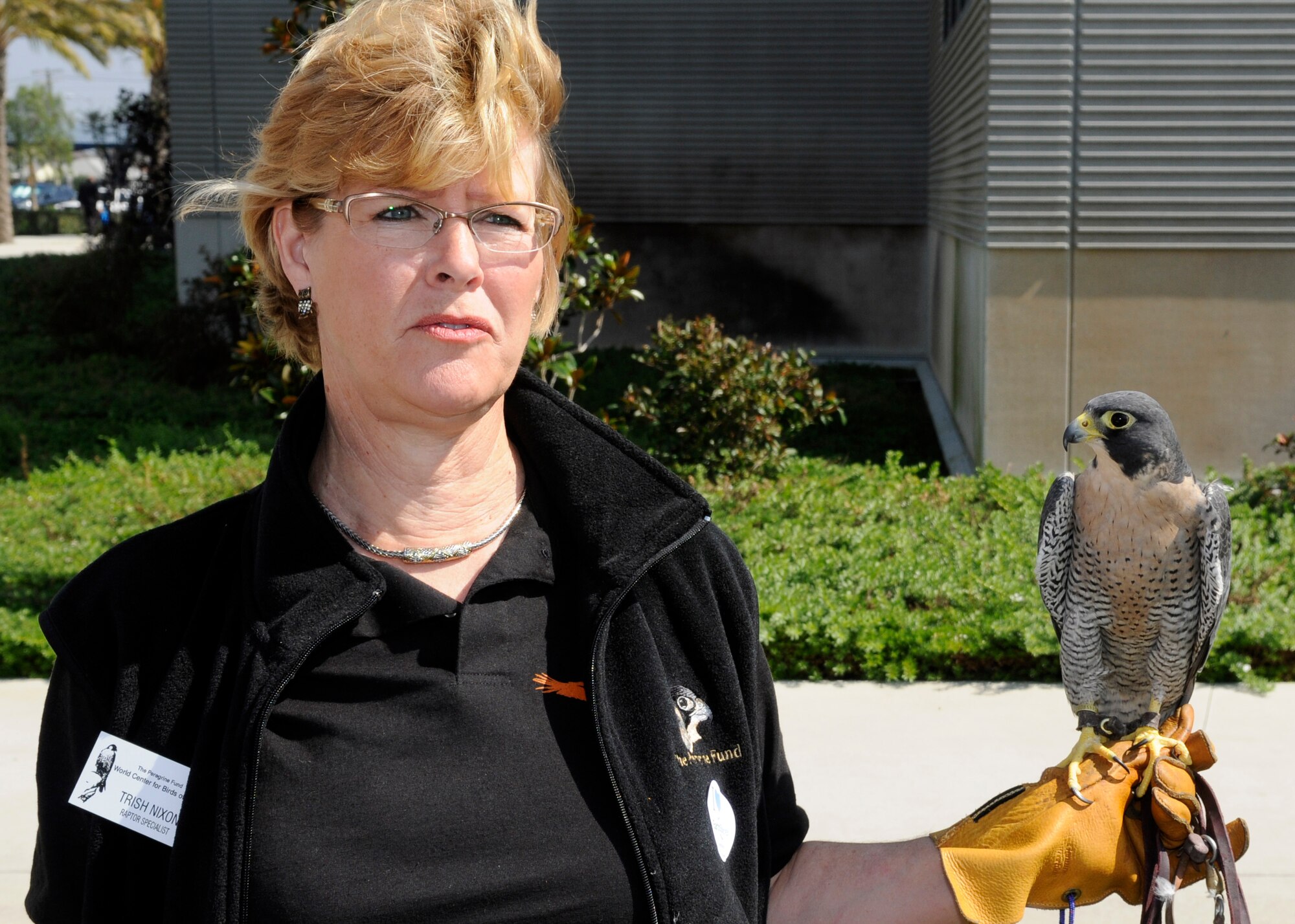 Trish Nixon, a raptor specialist with the Peregrine Fund  holds a live falcon at the CFC kickoff event. The charity was one of several organizations represented at the event, Oct. 12. (Photo by Jim Gordon)