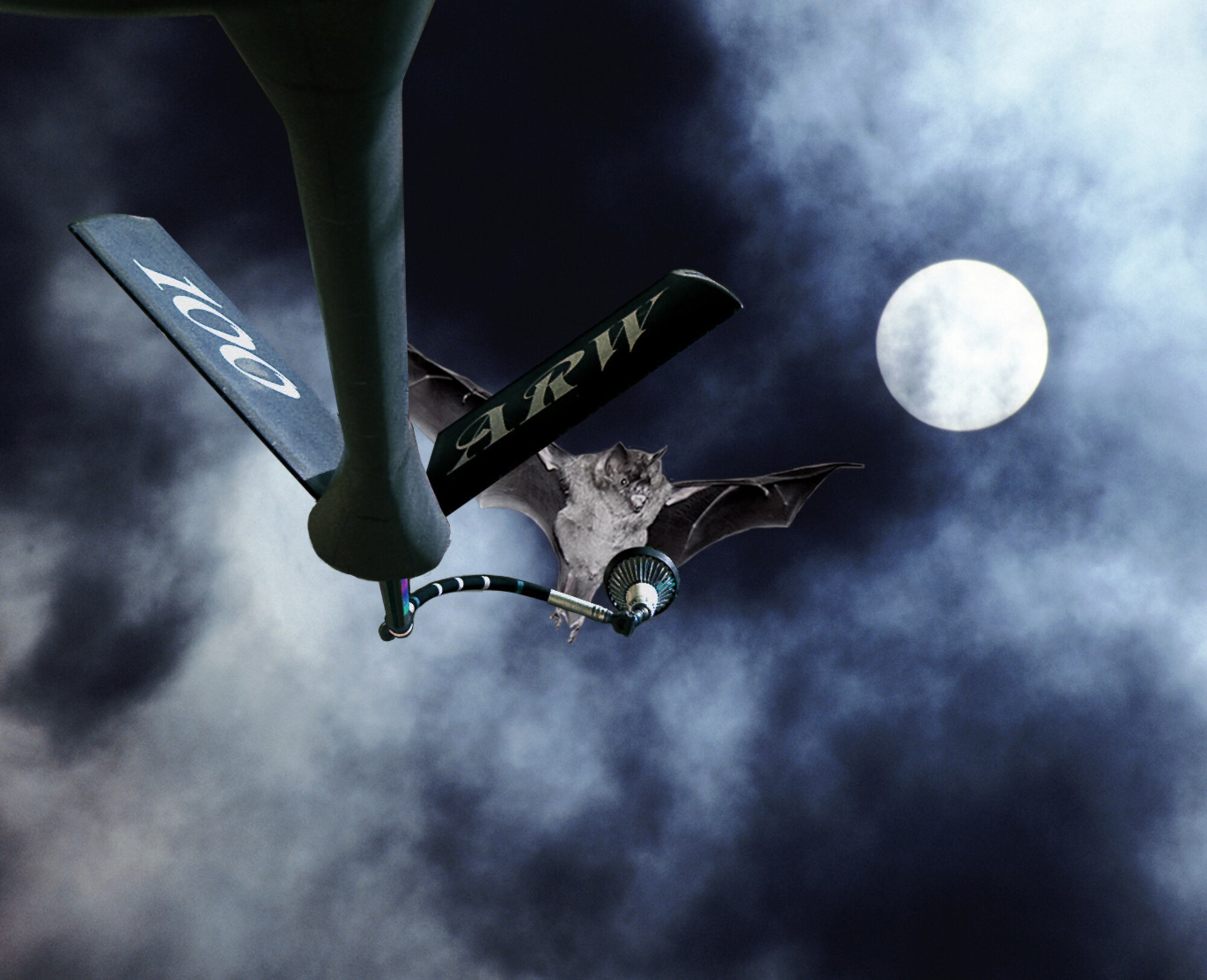 (U.S. Air Force graphic by Gary Rogers)