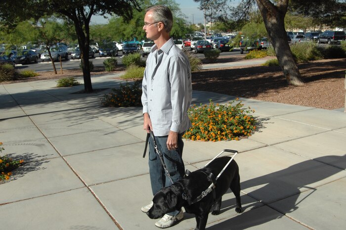NELLIS AIR FORCE BASE, Nev.-- Obi, a guide dog, walks with Christopher Sellman at Nellis. After losing his sight due to a number of medical emergencies, Mr. Sellman received Obi from Guide Dogs of America, one of the many Combined Federal Campaign charities people can contribute to during this year’s campaign. (U.S. Air Force photo by Senior Airman Michael Charles)