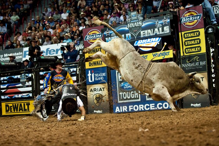 LAS VEGAS--  Professional bull rider Robson Palermo gets thrown from a bull during the Professional Bull Riding Finals at the Thomas and Mack Center Oct. 22. Airmen from Nellis Air Force Base were honored for their service to the country during Air Force night at the PBR Finals.  (U.S. Air Force photo / Tech. Sgt. Michael R. Holzworth)
