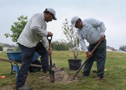 To commemorate National Public Lands Day  on Oct. 25, 2010, Hector Renden and Hector Sanchez plant crepe myrtle at Randolph's Heritage Park. The crepe myrtle and numerous trees were provided through funding by the National Environmental Education Foundation Legacy Funds, which annually awards funds for environmental projects on Department of Defense lands. Phillip Rieger, Randolph Air Force Base natural resources manager, said the base has received the funding for a number of years now. 
(U.S. Air Force photo/David Terry)