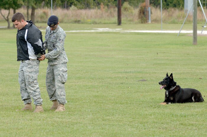 U.S. Air Force Senior Airman Brandon Edwards, right, Senior Airman Joel Patterson, left, and military working dog Waldo, demonstrate how an aggressor is apprehended during a demonstration held at Lambs Elementary Oct. 26, 2010. The working dog demonstration was part of Red Ribbon Week, which is the nation's oldest and largest drug prevention program, reaching millions of Americans every year. Airmen Edwards and Patterson are both military working dog handlers with the 628th Security Forces Squadron. (U.S. Air Force photo/Staff Sgt. Marie Brown)