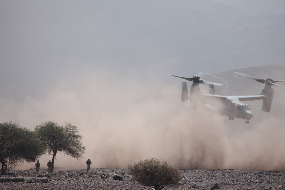 Marines with Company I, Battalion Landing Team 3/8, 26th Marine Expeditionary Unit, stand by as an MV-22 Osprey extracts a mock casualty from the landing zone during a simulated vertical assault in Djibouti, Africa, Oct. 28, 2010. Elements of 26th MEU conducted sustainment training during their current deployment at Camp Lemonnier and surrounding areas.