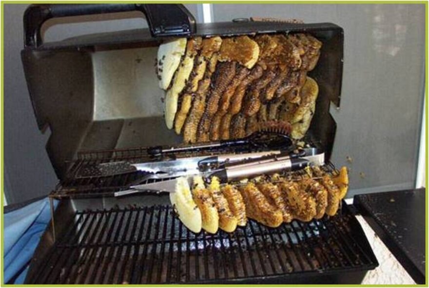 MOODY AIR FORCE BASE, Ga.-- An example of an Africanized honeybee nest is show in a grill. Some other possible locations for their nests include empty boxes, cans, buckets, old tires, lumber piles, holes in fences and trees. (Contributed photo/RELEASED)
