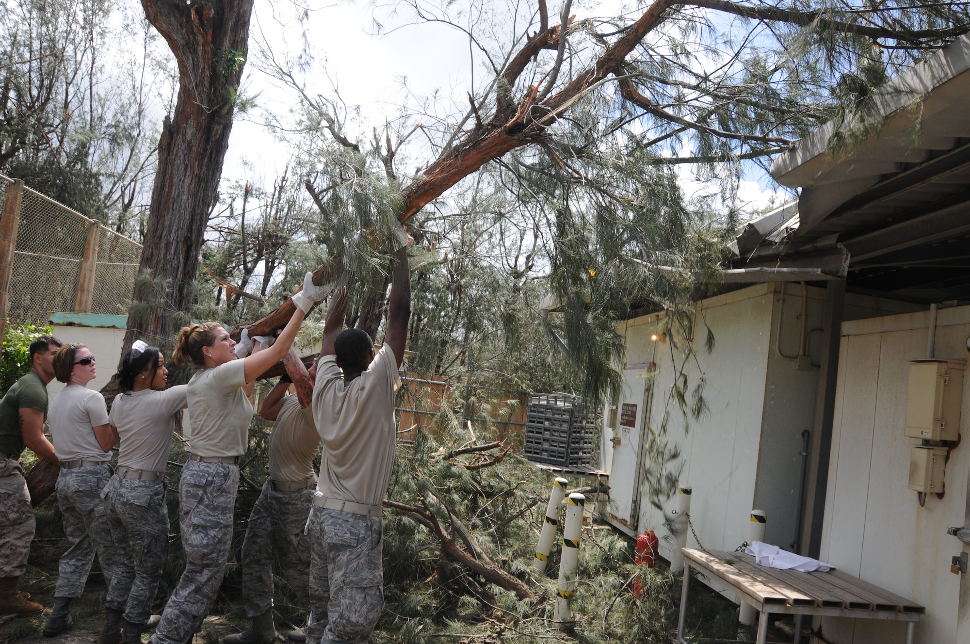 Airmen from the 18th Wing team up to lift a fallen tree off the roof at Okuma Recreation Area, Sep. 2, 2010. More than 100 Airmen from Kadena Air Base volunteered to help clean up the debris caused by typhoon Kompasu. (U.S. Air Force photo/Staff Sgt. Darnell T. Cannady)
