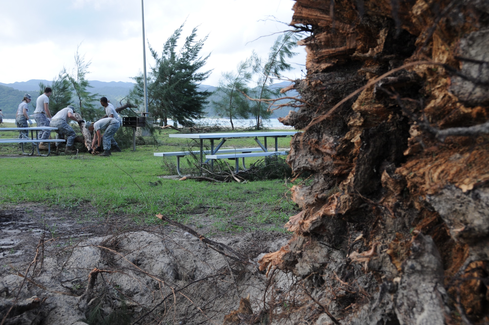 Airmen from the 18th Wing move a fallen tree to a collection pile at Okuma Recreation Area, Sep. 2, 2010. More than 100 Airmen from Kadena Air Base volunteered to help clean up the debris caused by typhoon Kompasu. (U.S. Air Force photo/Staff Sgt. Darnell T. Cannady)
