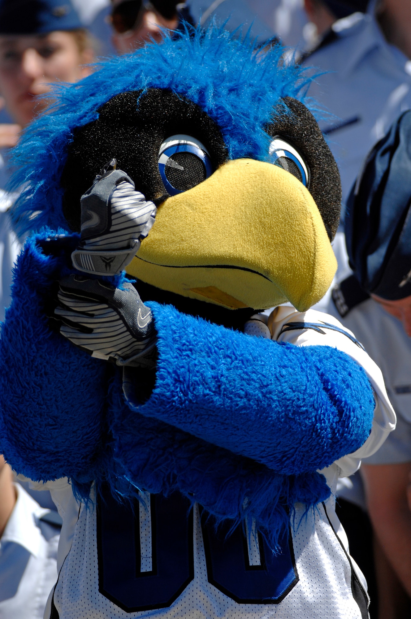 The Bird helps referees by signaling a holding call during Air Force's home opener against Northwestern State at Falcon Stadium Sept. 4, 2010. The Bird is the official Air Force mascot and is one of 16 mascots competing for the 2010 National Mascot of the Year award from Capital One. (U.S. Air Force photo/Mike Kaplan)