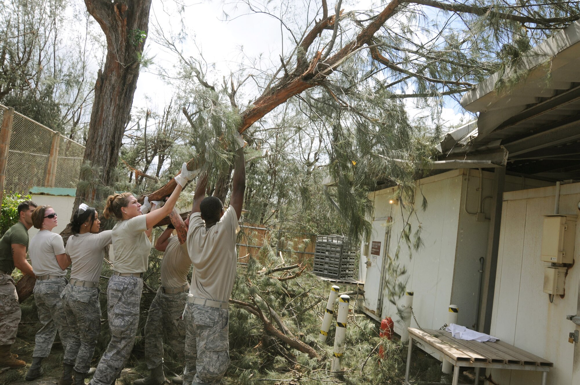 Airmen from the 18th Wing at Kadena Air Base, Japan, team up to lift a fallen tree off the roof of a building at the Okuma Recreation Area Sep. 2, 2010. More than 100 Airmen volunteered to help clean up the debris left when Typhoon Kompasu struck Okinawa Aug. 31. (U.S. Air Force photo/Staff Sgt. Darnell T. Cannady)
