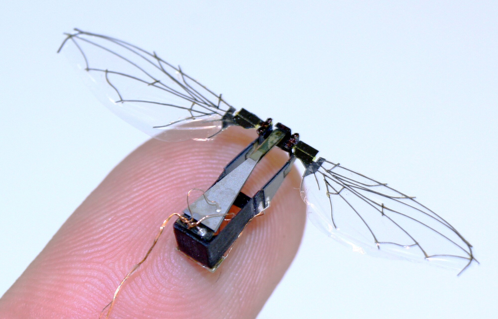 Recent prototype of the Harvard Microrobotic Fly, a three-centimeter wingspan flapping-wing robot. (Credit: Ben Finio, The Harvard Microrobotics Lab)