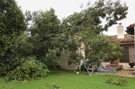 Tropical Storm Hermine blew through Randolph Air Force Base with wind gusts of more than 70 miles per hour causing trees to be uprooted damage to base and personal property. (U.S. Air Force photo/Steve Thurow)