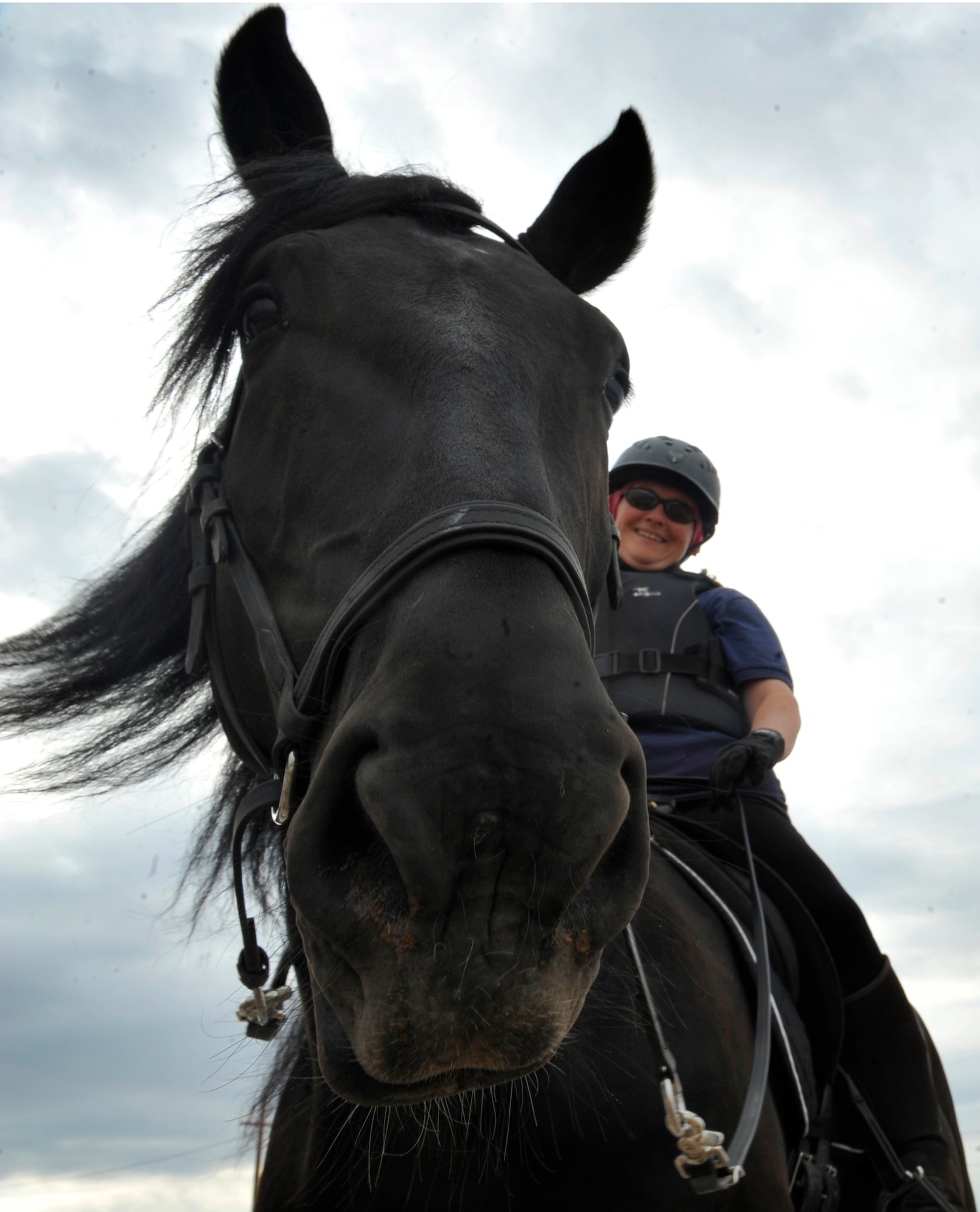Horsing around > Holloman Air Force Base > Display