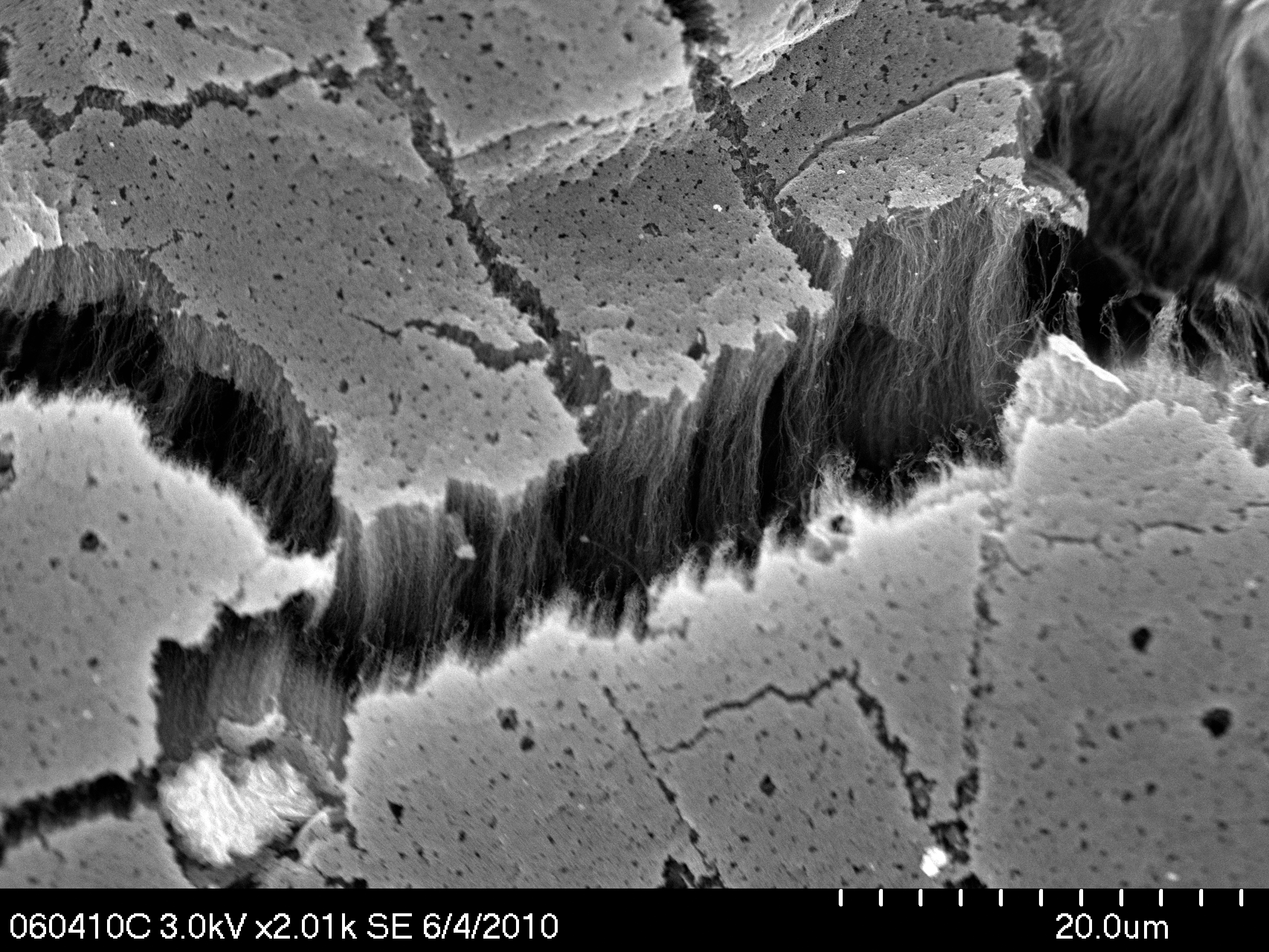 Lab Supplies "RX" for Carbon Nanotube Growth > WrightPatterson AFB