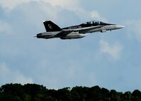 ANDERSEN AIR FORCE BASE, Guam ? An F/A-18-F Super Hornet l takes off on the Andersen flightline during the Valiant Shield 2010 exercise, here Sep. 16.  The aircraft is a key component of the major joint flying exercise that kicked off this week. (U.S. Air Force photo by Airman 1st Class Jeffrey Schultze)