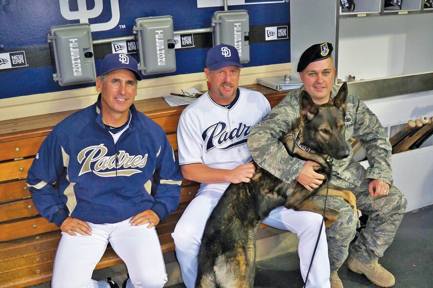 FROM LEFT: Bud Black, San Diego Padres manager, Matt Stairs, left fielder, adn Staff Sgt. Kyle Alltop, 56th Security Forces Squadron, pose for a photo with Chrach, (German spelling for Crash) 56th SFS military working dog, in the Padres dugout September 8th before an Air Force Appreciation Night baseball game between the Los Angeles Dodgers and the Padres in San Diego.  The MWD team was invited to perform a basic patrol demonstration prior to the start of the game.  The Padres won 4-0.  (U.S. Air Force photo/Staff Sgt. Justin Kitts)