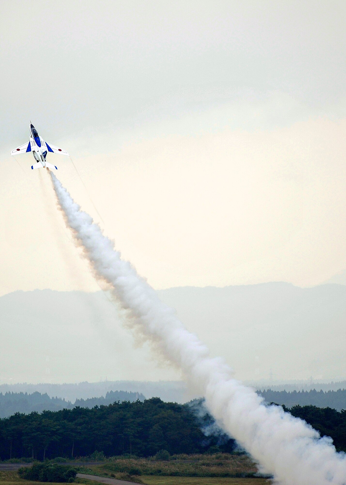 A member of the Japanese demonstration team, Blue Impulse, performs an aerial demonstration during Misawa Air Festival 2010 Sept. 19, at Misawa Air Base, Japan. (U.S. Air Force photo by Staff Sgt. Chad Strohmeyer/Released)