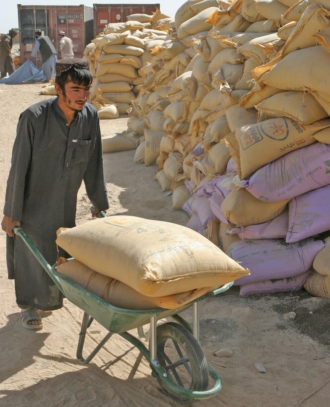 An Afghan farmer wheels a load of fertilizer out to his truck during the fall seed distribution program in Helmand Province. Marines and sailors with 2nd Battalion, 9th Marines began the distribution of seeds and fertilizers to Afghan farmers Sept 20, preparing locals for the upcoming planting season.