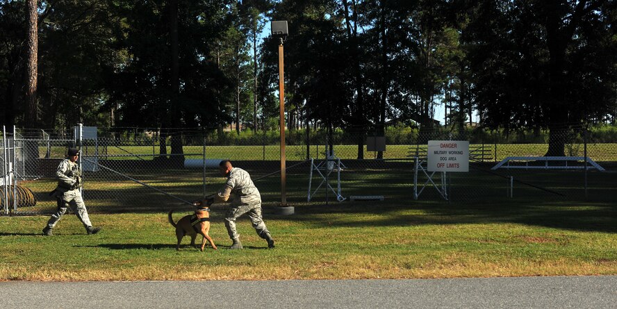 MOODY AIR FORCE BASE, Ga. -- Staff Sgt. Ryan Frederick, 23rd Security Forces Squadron military working dog handler runs behind Rico, MWD, as he attacks Senior Airman Steve Fuentes, 23rd SFS MWD handler, during a demonstration for members of the Colquitt County High School Marine Corps Junior ROTC  here Sept. 16. (U.S. Air Force photo/Airman 1st Class Joshua Green)


