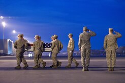 A U.S. Marine Corps team transfers the remains of Marine Corps Lance Cpl. Christopher B. Rodgers, of Griffin, Ga., at Dover Air Force Base, Del., Sept. 3, 2010. Rodgers was assigned to the 1st Battalion, 2nd Marine Regiment, 2nd Marine Division, II Marine Expeditionary Force, Camp Lejeune, N.C.  (U.S. Air Force photo/Roland Balik)