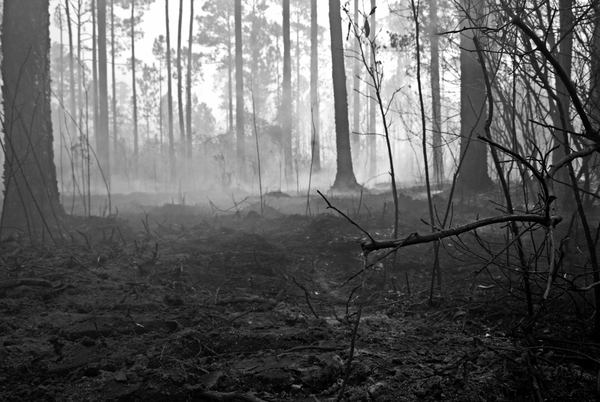 Smoke rises from the floor of the burnt forest floor on Eglin Air Force Base’s range Sept. 21.  The blaze, which occurred along part of the reservation South of Hwy 20 and West of Bayou Basin burned approximately 90 acres.  The still smoldering fire was determined to be human-caused and is under investigation.  (U.S. Air Force photo/Samuel King Jr.)  