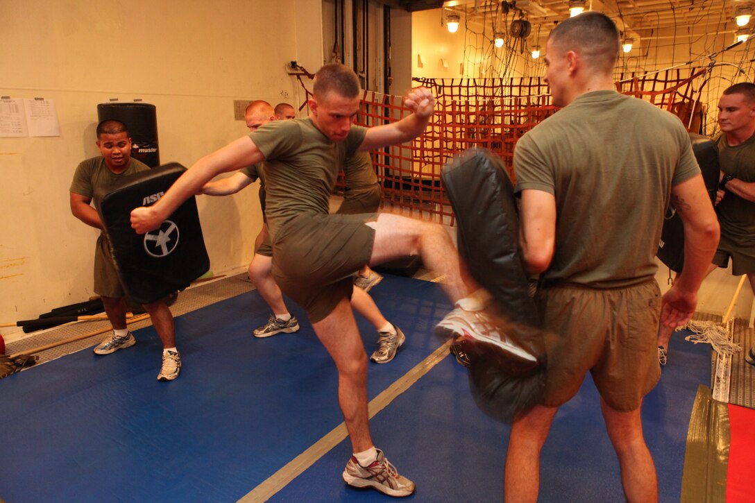 Corporal Zach A. Stroth, an amphibious assault vehicle operator with Company L, Battalion Landing Team 3/8, 26th Marine Expeditionary Unit, kicks a training bag during physical training in the "dojo" aboard USS Carter Hall in the U.S. Navy Fifth Fleet Area of Responsibility, Sept. 24, 2010. 26th Marine Expeditionary Unit is currently embarked aboard the ships of Kearsarge Amphibious Ready Group operating in the U.S. Navy 5th Fleet Area of Responsibility.