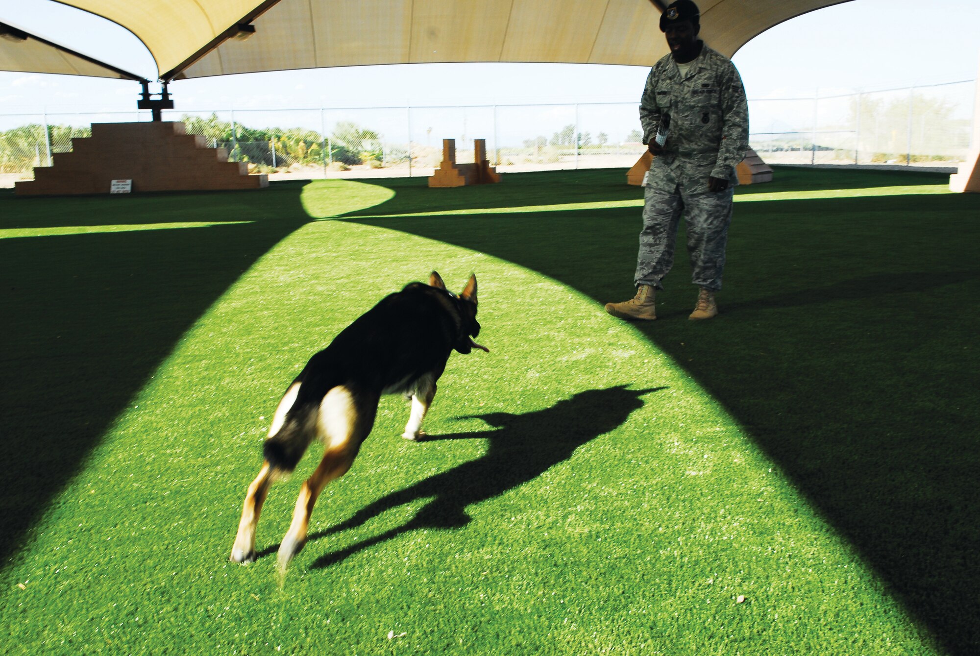 Maxo, military working dog, leaps forward in an attempt to grab a rubber toy from Senior Airman Lindsay Thompson, 56th Security Forces Squadron military working dog handler.  (U.S. Air Force photo/Austin Thomas)