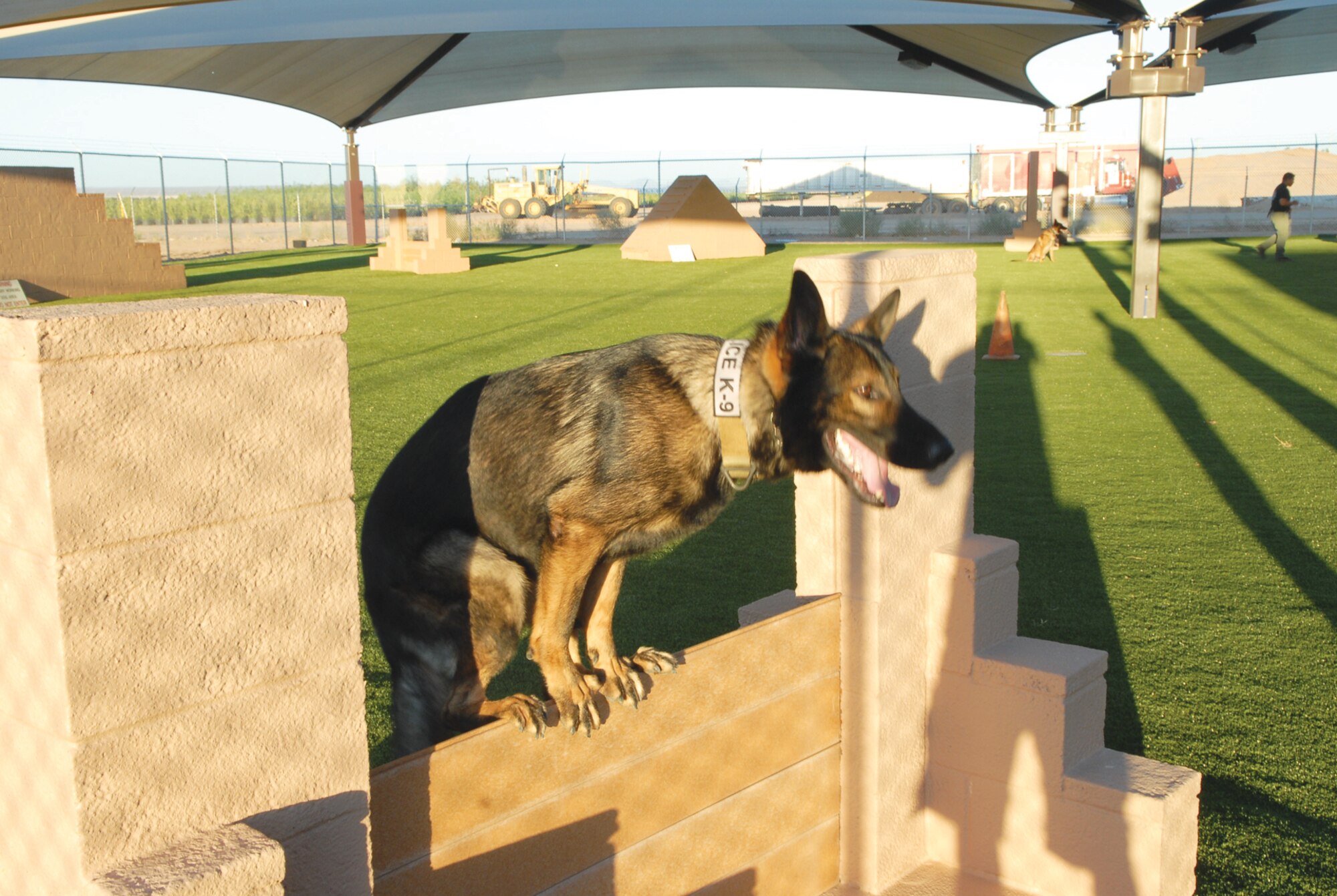 Chrach stands in "place" on the obstacle course wall.  During the "place" command the military working dog will stand still in one position until released.  (U.S. Air Force photo/Austin Thomas)