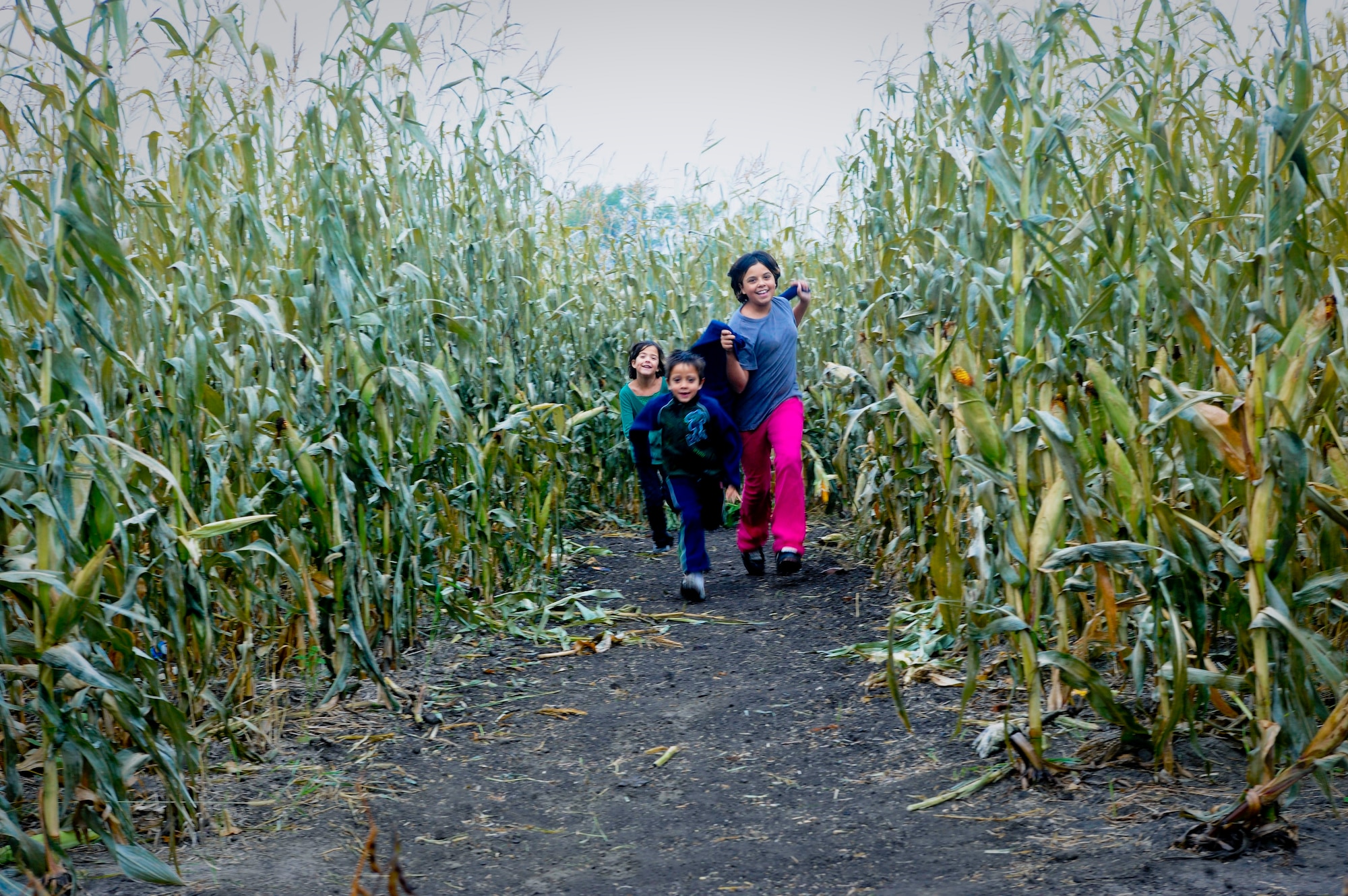 MINOT, N.D. -- Allie, a local 12-year-old and her siblings, Mia, 8, and Justin, 6, get excited to see the exit of the maze after negotiating the 8-acre puzzle for about 45 minutes here Sept. 20. (U.S. Air Force photo by Laurie Arellano)