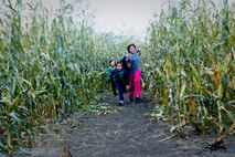 MINOT, N.D. -- Allie, a local 12-year-old and her siblings, Mia, 8, and Justin, 6, get excited to see the exit of the maze after negotiating the 8-acre puzzle for about 45 minutes here Sept. 20. (U.S. Air Force photo by Laurie Arellano)